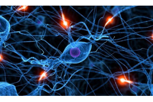 O que é controle inibitório e como trabalhá-lo em sala de aula