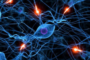 O que é controle inibitório e como trabalhá-lo em sala de aula