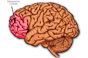 O que são Funções Executivas e sua importância na aprendizagem